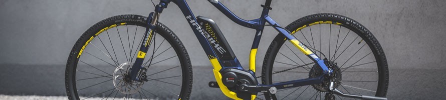 Toute la gamme VAE typé Cross-Trekking sur German-Bikes.fr !